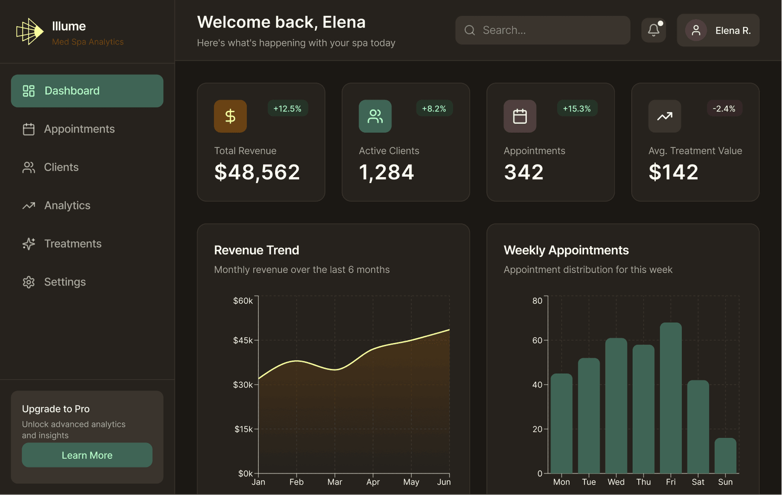 Illume’s public dashboard preview showing revenue, clients, appointments and charts